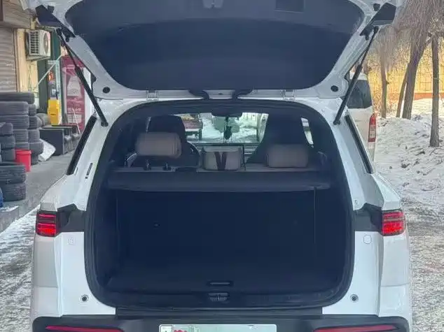 BYD SONGJIANG NEW ENERGY