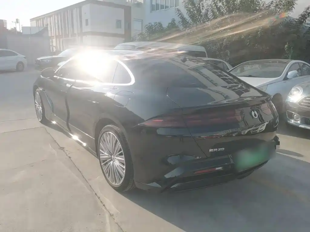 Denza Denza Z9 — миниатюра 5