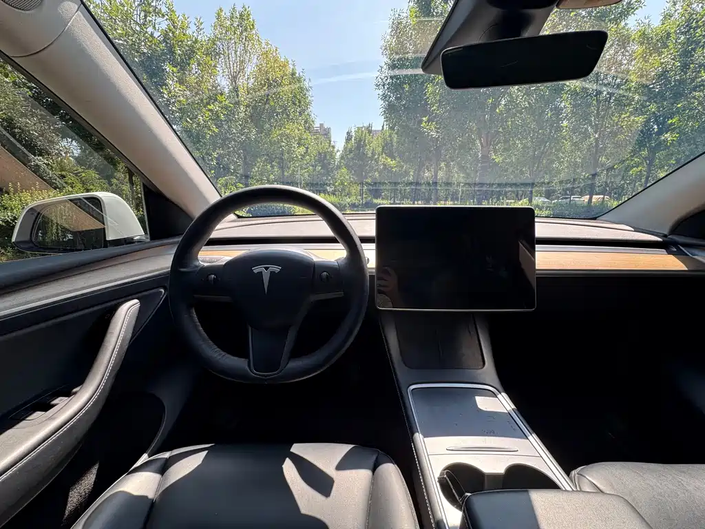 Tesla Model Y — миниатюра 7