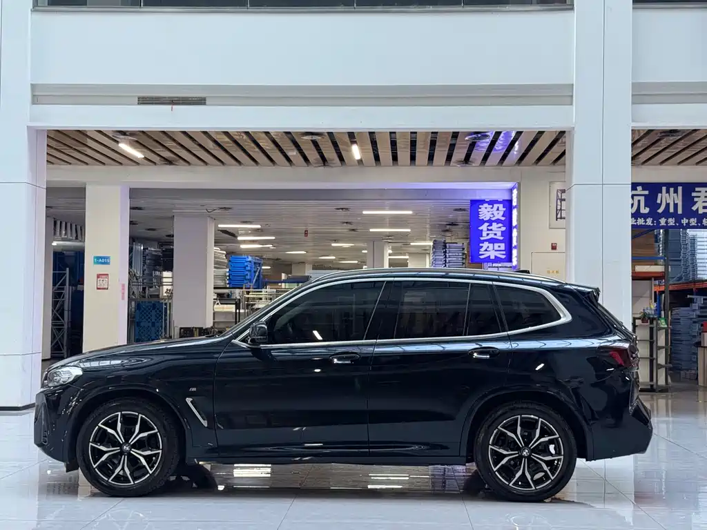 BMW X3 — миниатюра 8