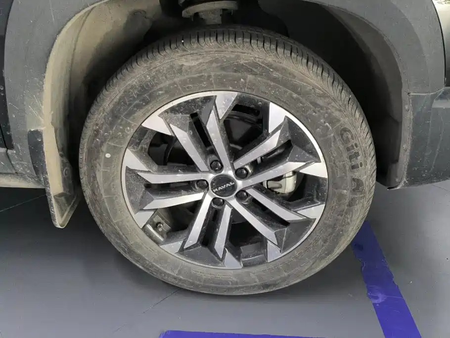 Haval Big Dog — миниатюра 6