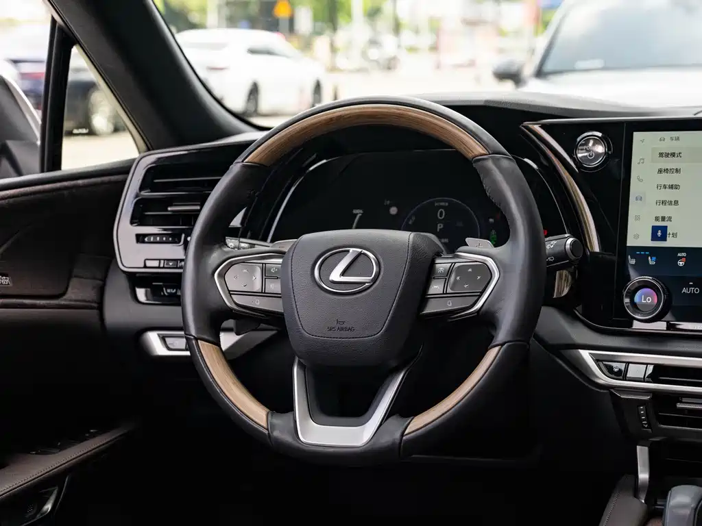 Lexus RX New Energy — миниатюра 15