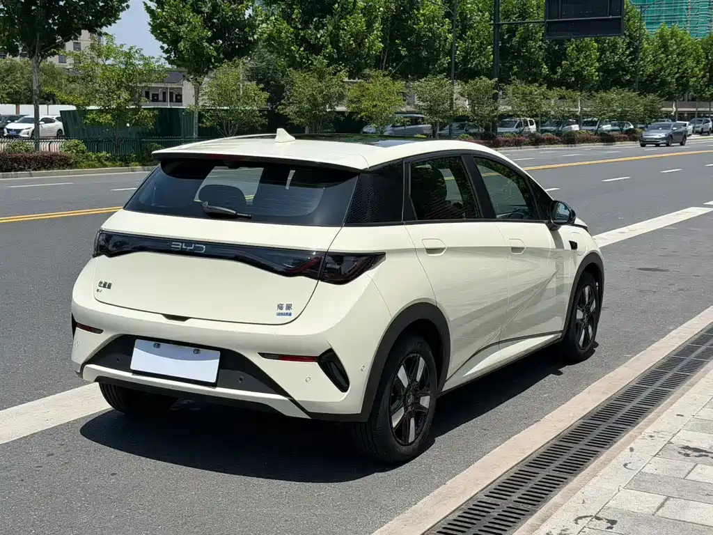 BYD Dolphin 2025 Smart Drive 410km Fashion