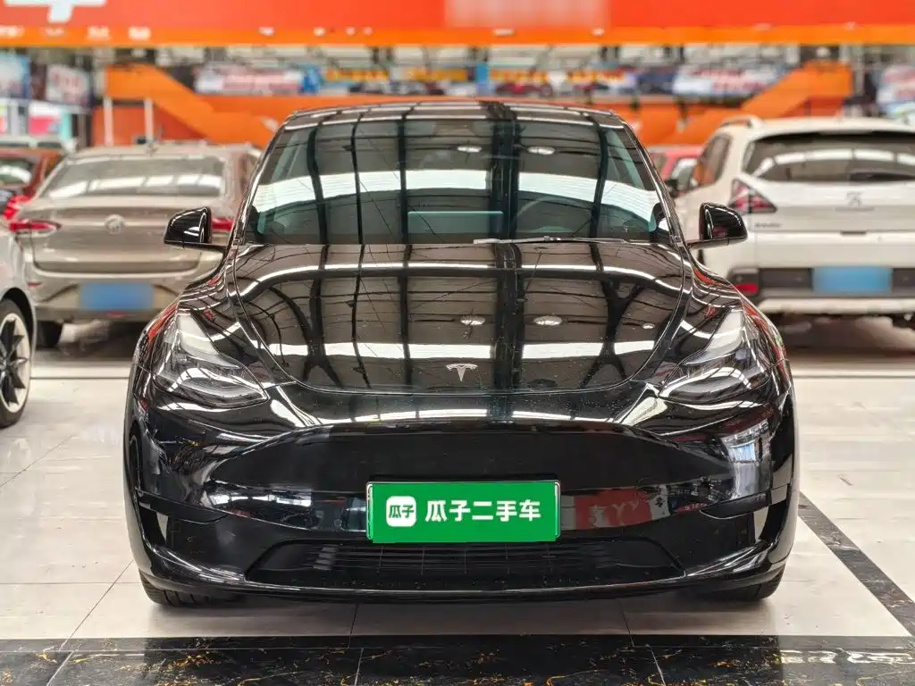 Tesla Model Y — миниатюра 3