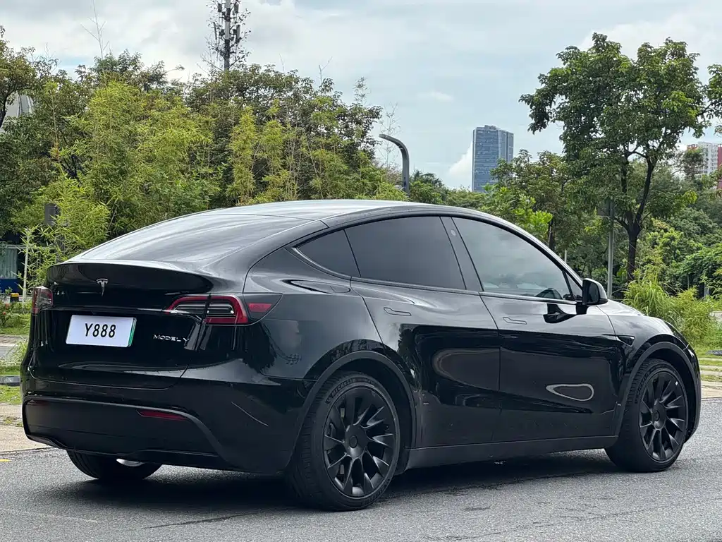 Tesla Model Y — миниатюра 5