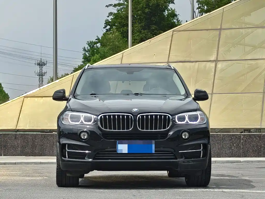 BMW X5 (Import) — миниатюра 2