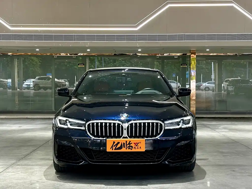 BMW 5 Series (Import) — миниатюра 2