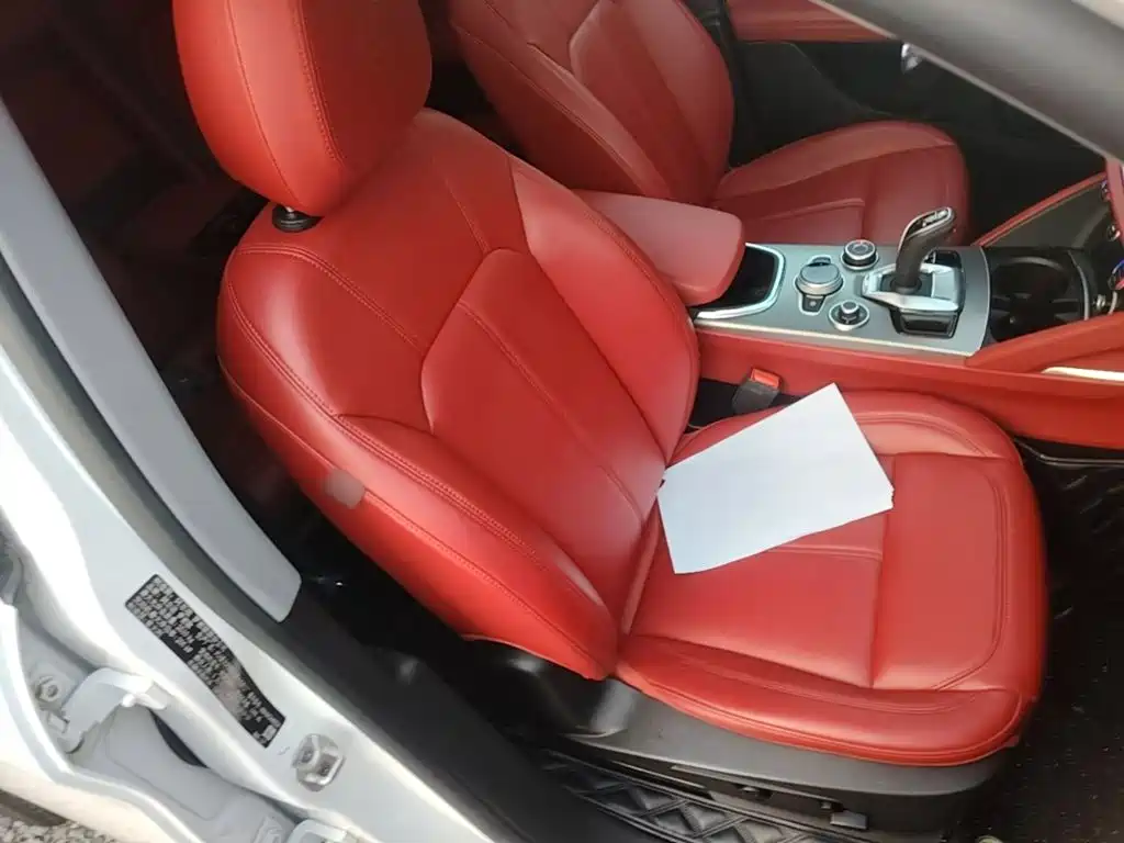 Alfa Romeo Stelvio — миниатюра 25