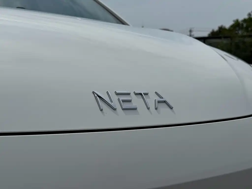 Neta Neta AYA — миниатюра 5