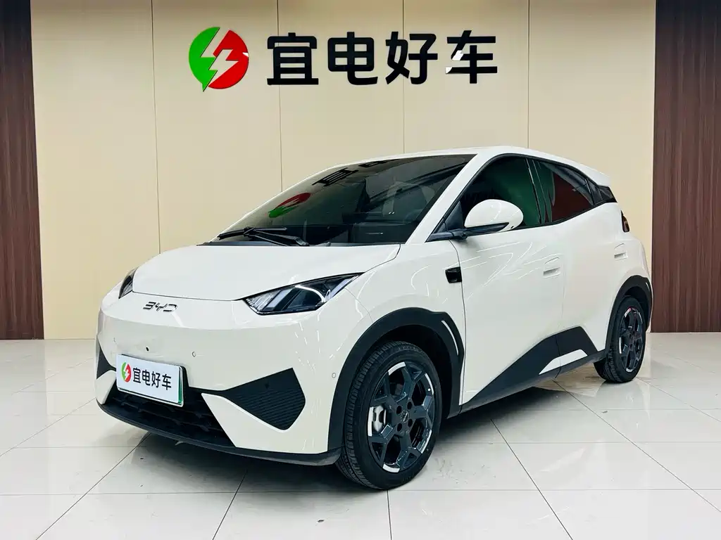 Byd Seagull 2025