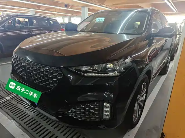 2020 Wey VV6