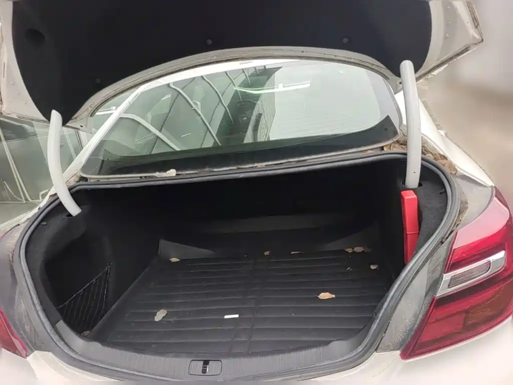 Buick Regal — миниатюра 10