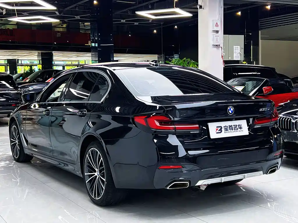 BMW 5 Series — миниатюра 10