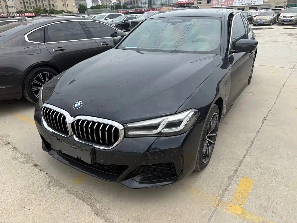 BMW 5 Series New Energy 2021
