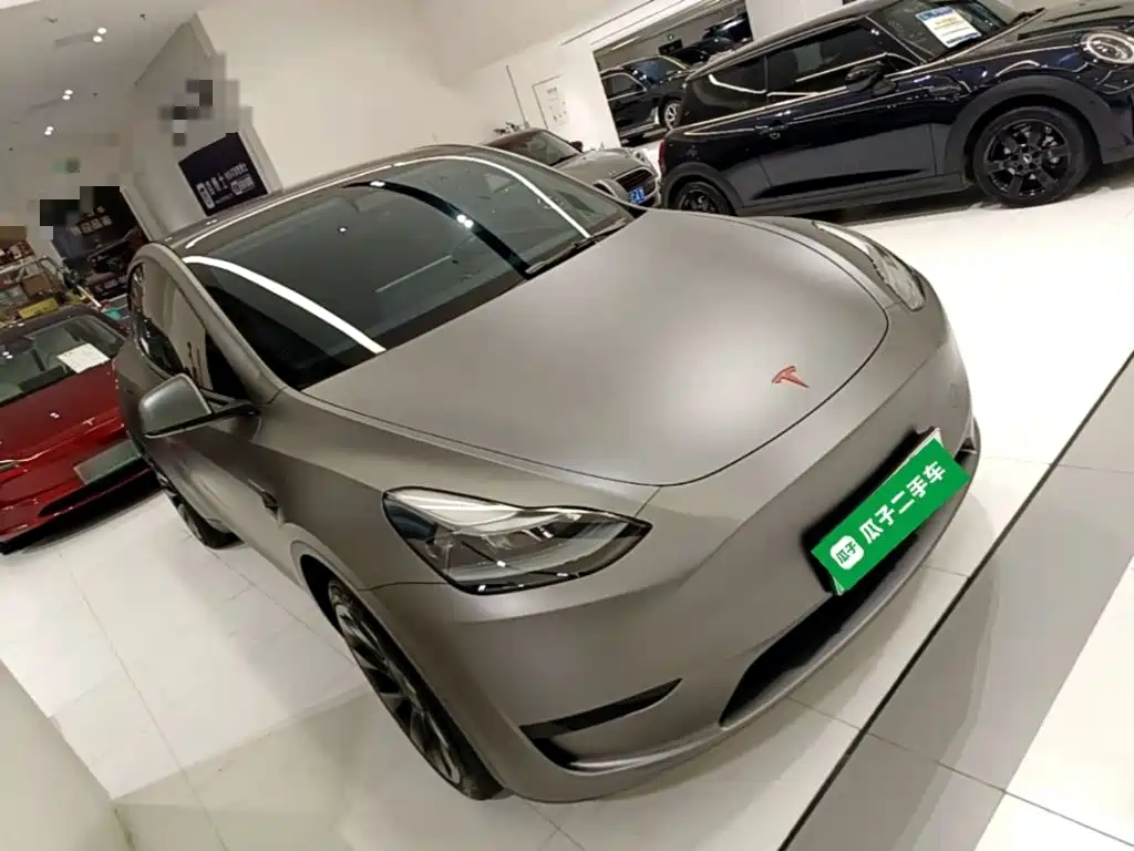 Tesla Model Y — миниатюра 4