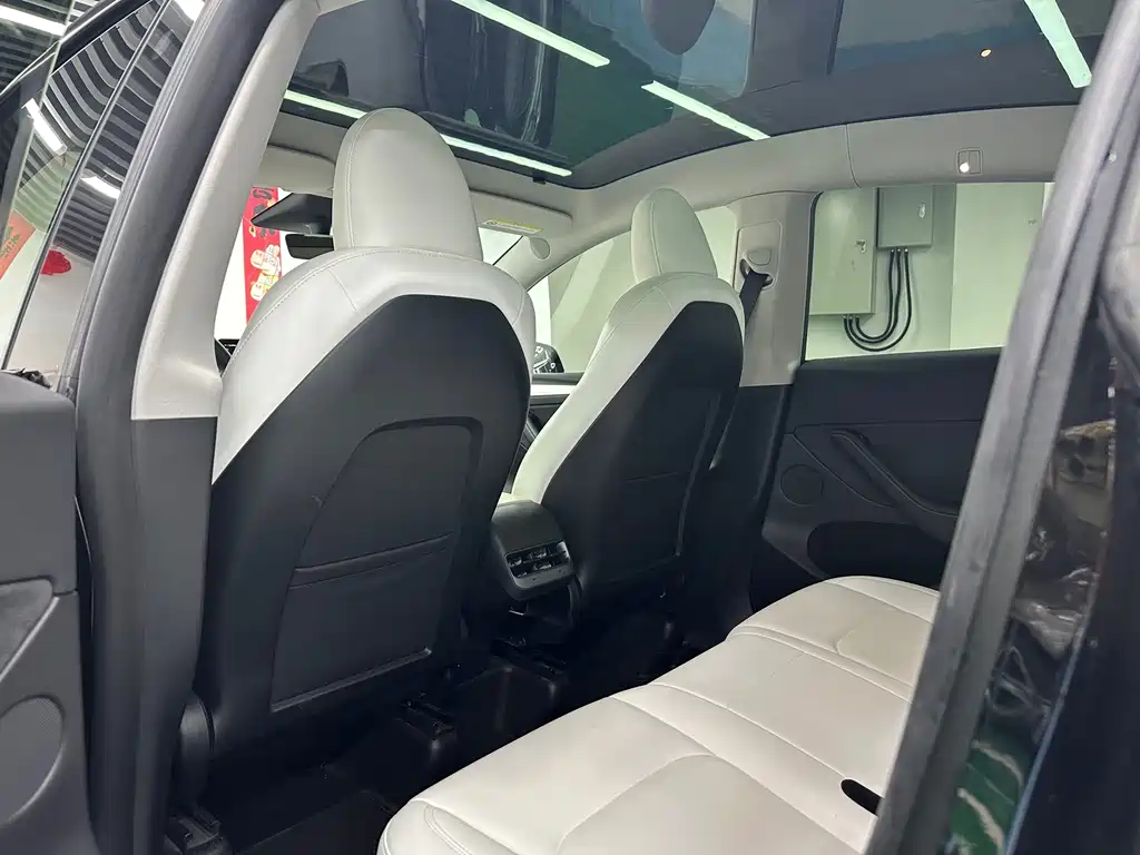 Tesla Model Y — миниатюра 21