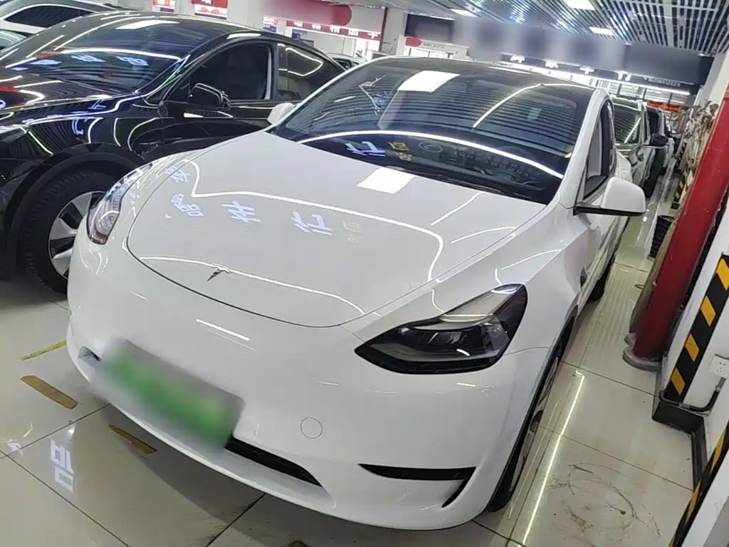 Tesla Model Y — миниатюра 2