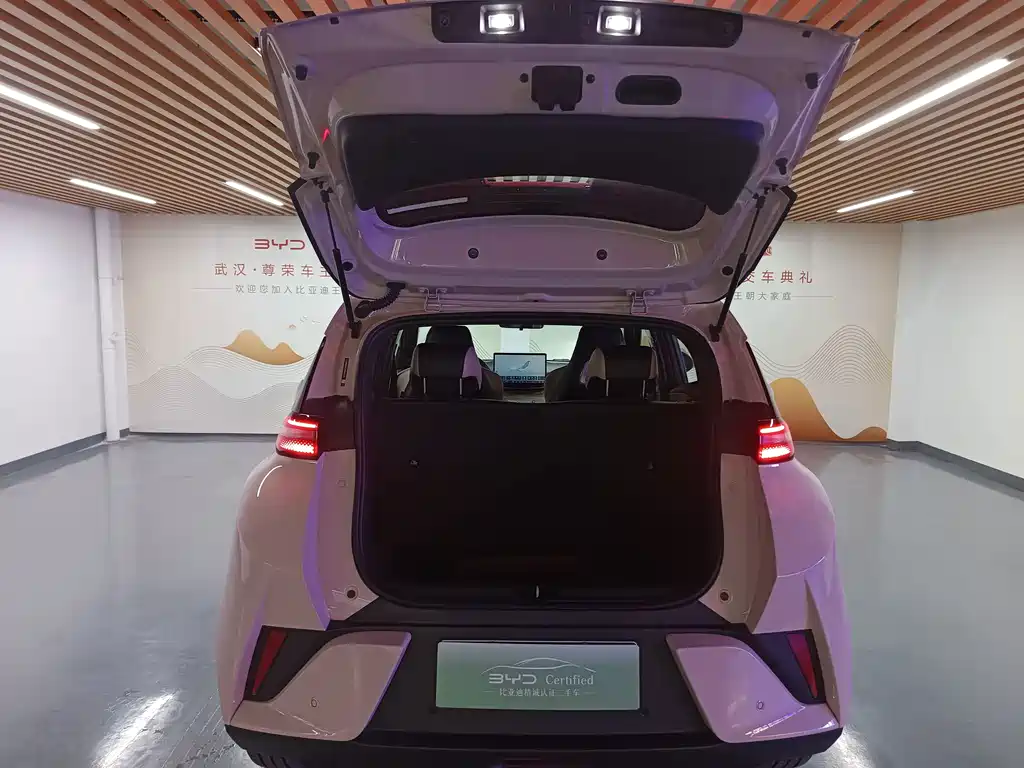 BYD Seagull — миниатюра 14
