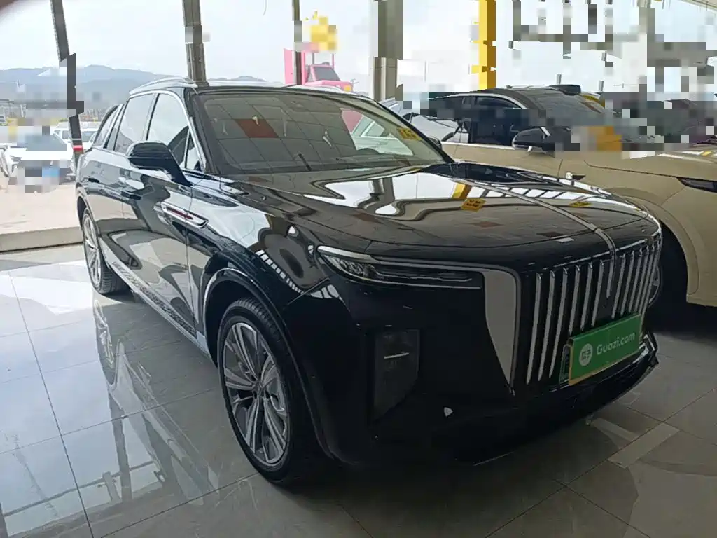 Hongqi Hongqi E-HS9 — миниатюра 4