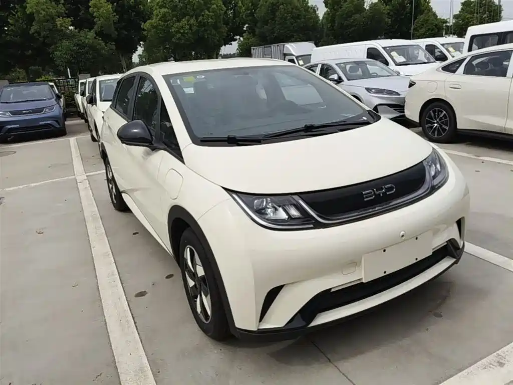 BYD Dolphin 2025 420km Freedom