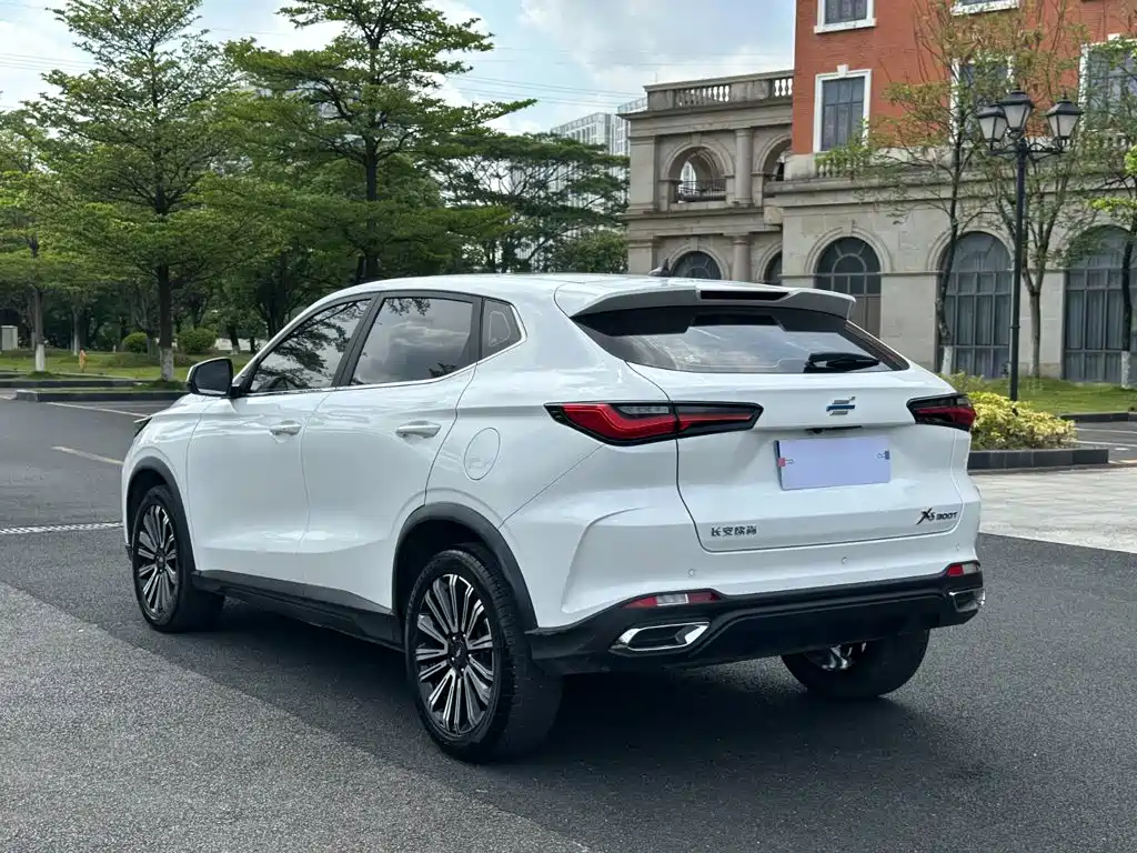 Oshan Oushang X5 — миниатюра 14