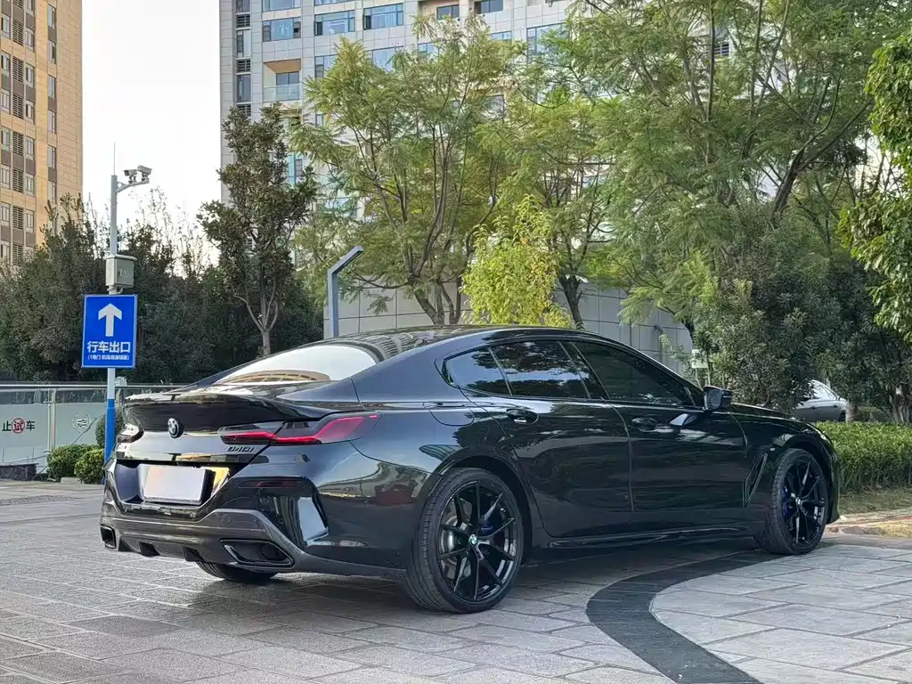 BMW 8 Series — миниатюра 9