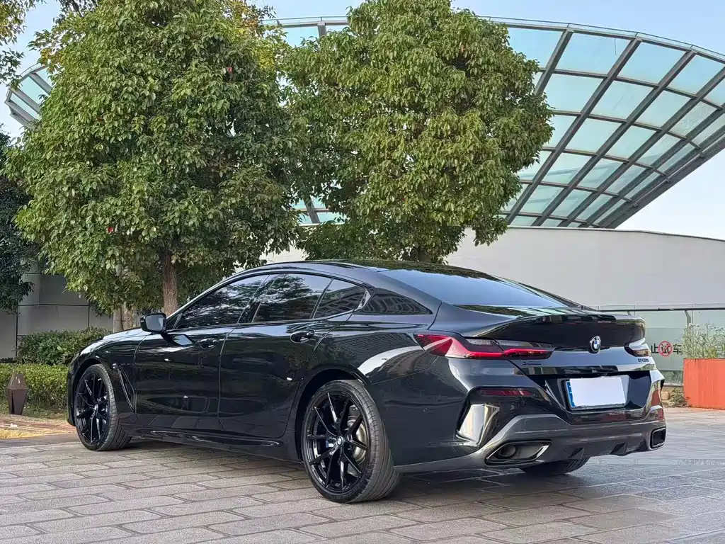 BMW 8 Series — миниатюра 7