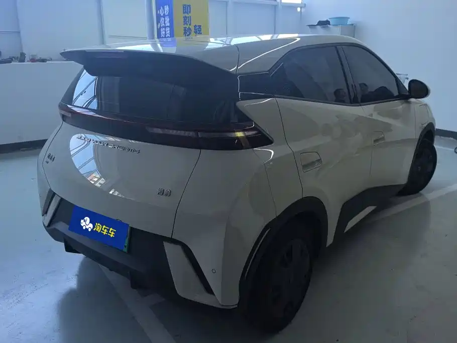 BYD Seagull