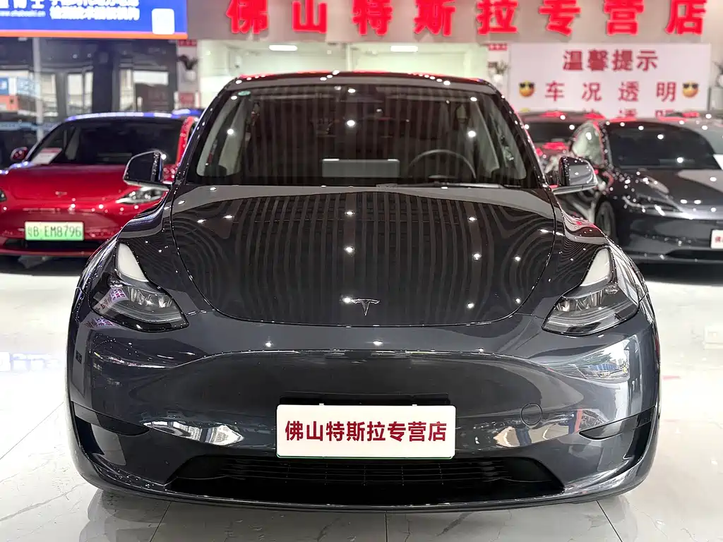 Tesla Model Y — миниатюра 5