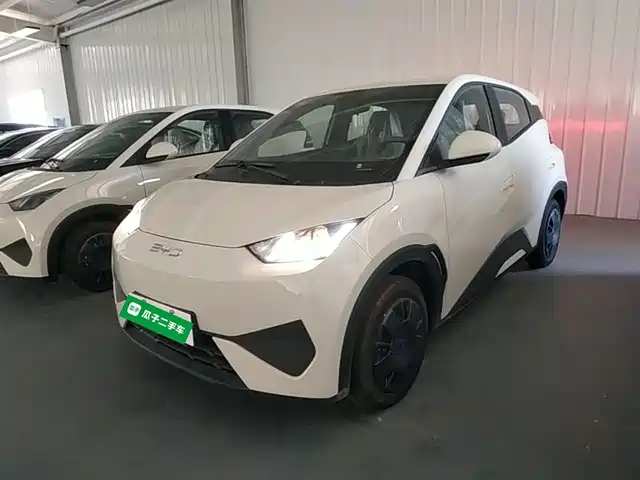2026 BYD Seagull