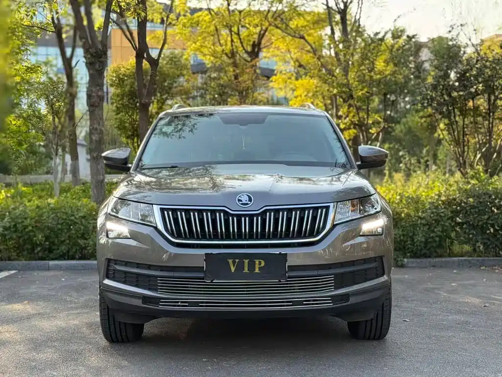 Skoda Kodiaq — миниатюра 2