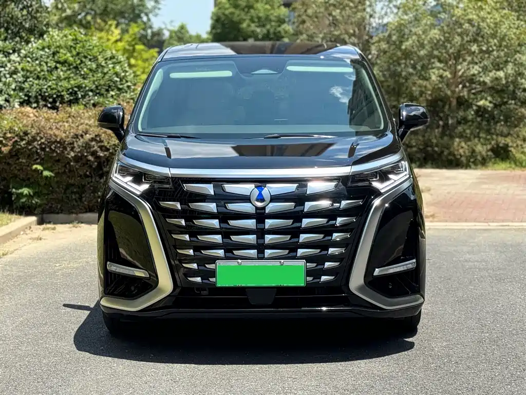Denza Denza D9 — миниатюра 2