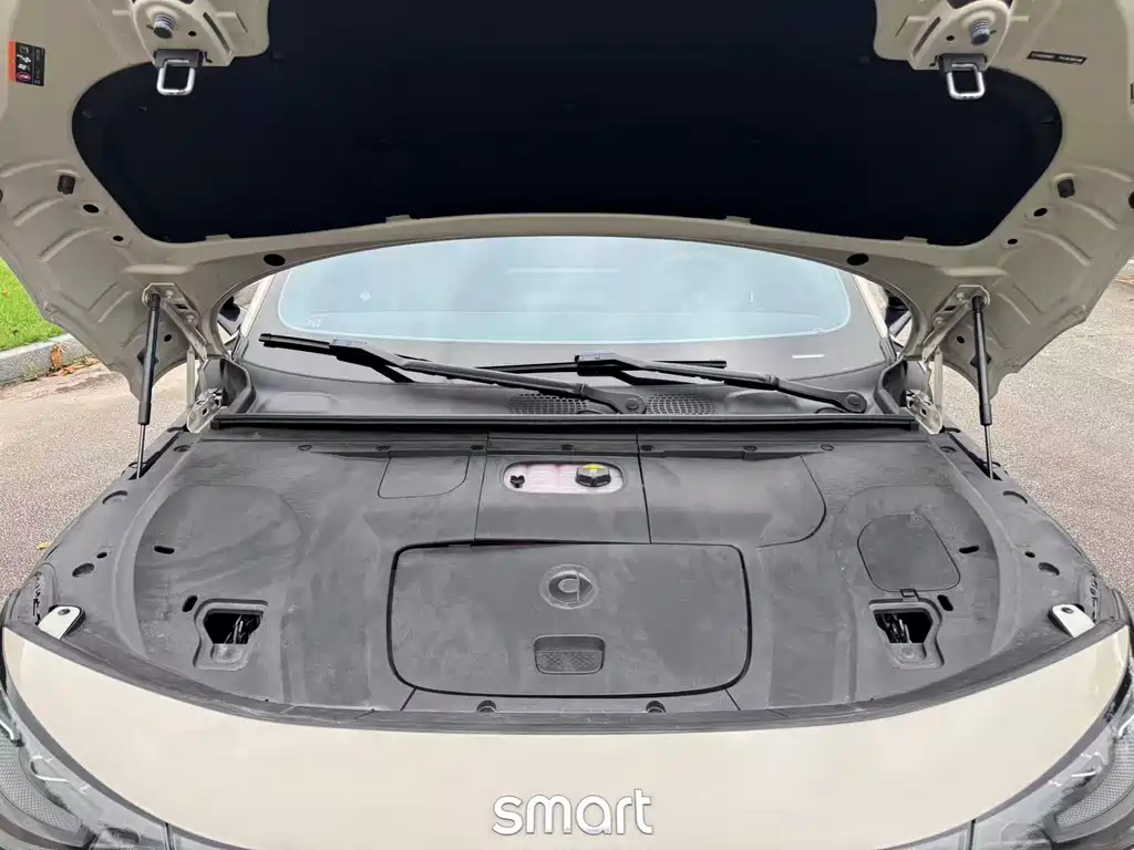 smart Smart #3 — миниатюра 5
