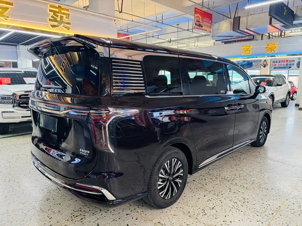 Hongqi Hongqi HQ9 — миниатюра 23