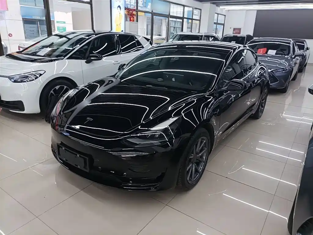 Tesla Model 3 2021 Standard Range RWD Upgrade Edition 3D6