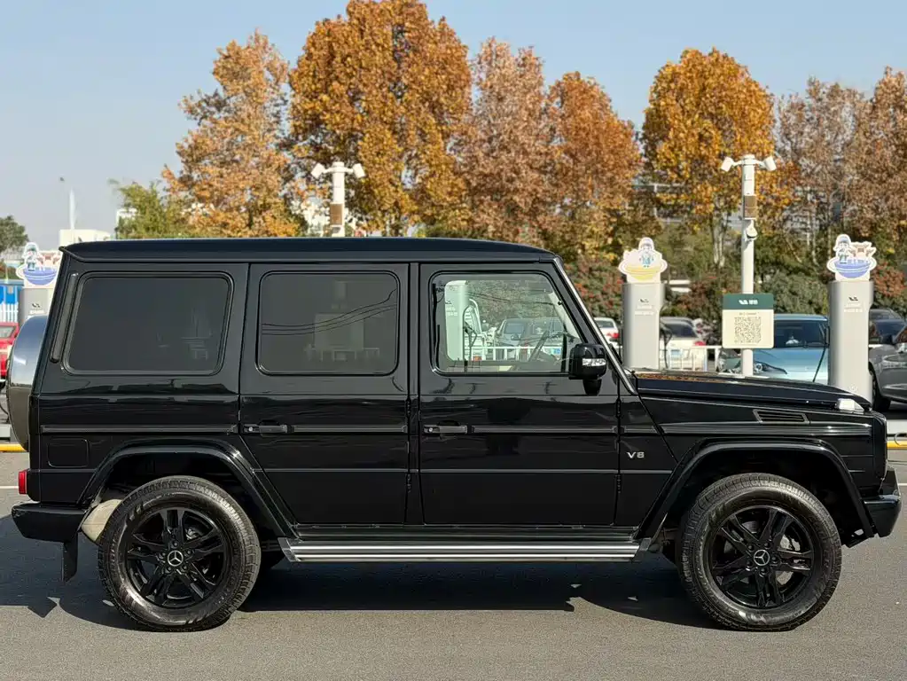 Mercedes-Benz G-Class G 2010 G 500
