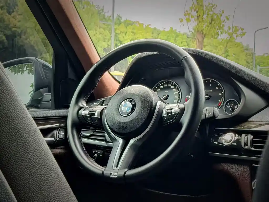 BMW X5 (Import) — миниатюра 3