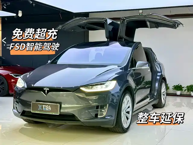 TESLA MODEL X 2019