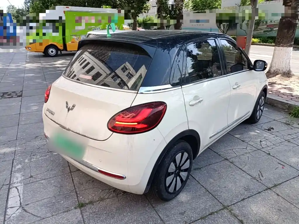 Wuling Binguo 2025 333km Enjoy