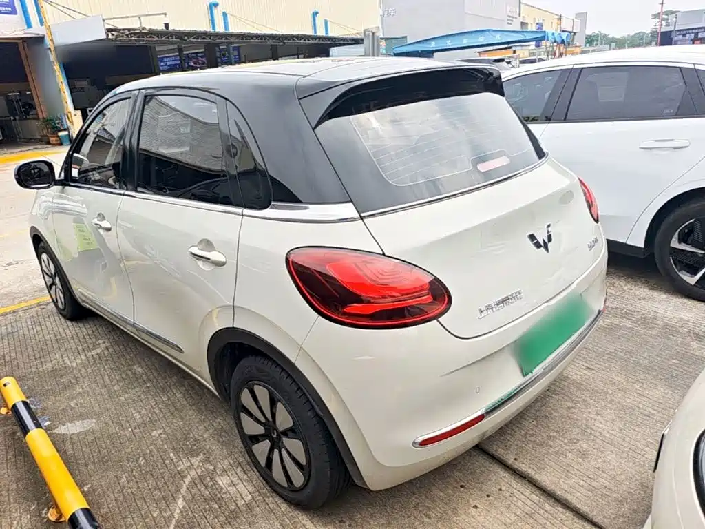 Wuling Binguo 2023 333km +