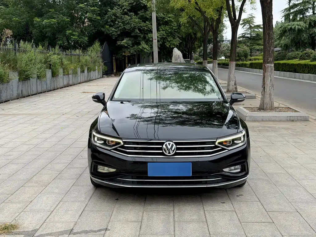 Volkswagen Magotan — миниатюра 2