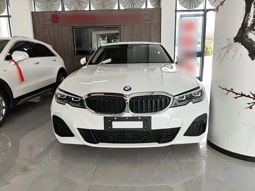 BMW 3 Series 3 2022 325Li M Sport