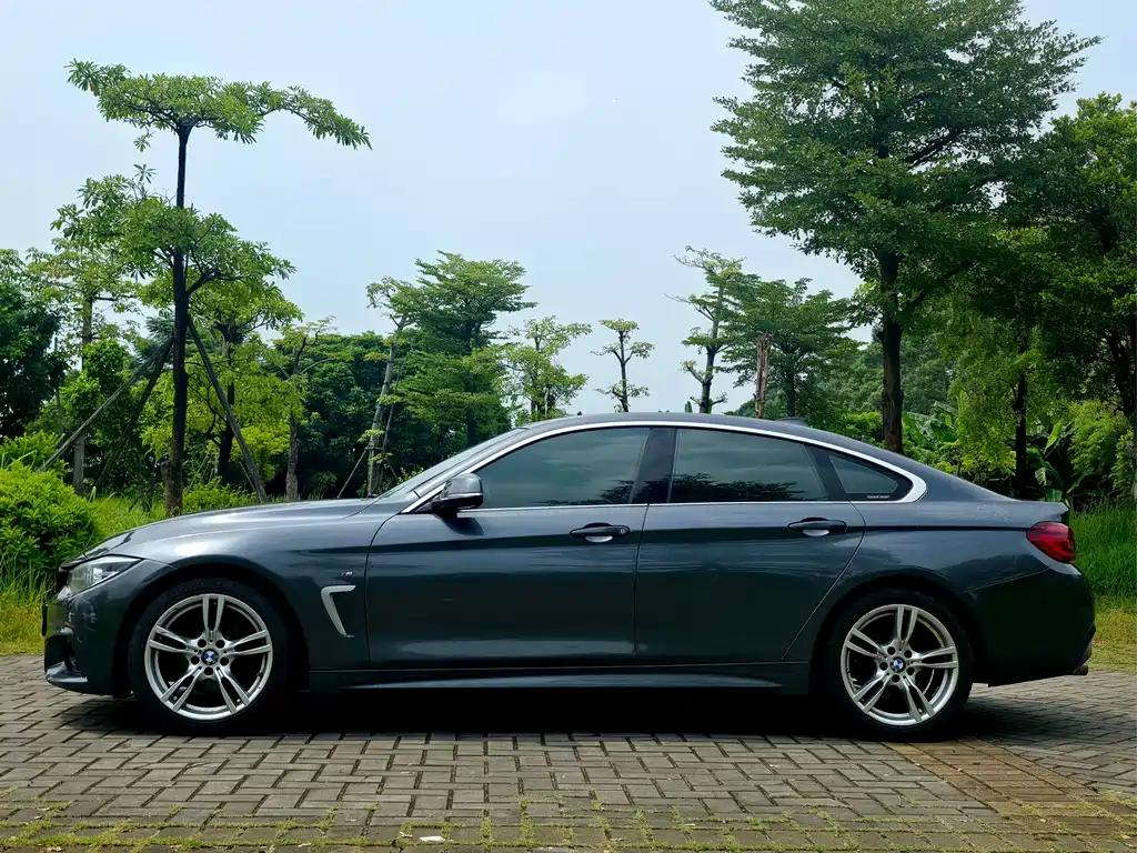 BMW 4 Series — миниатюра 4