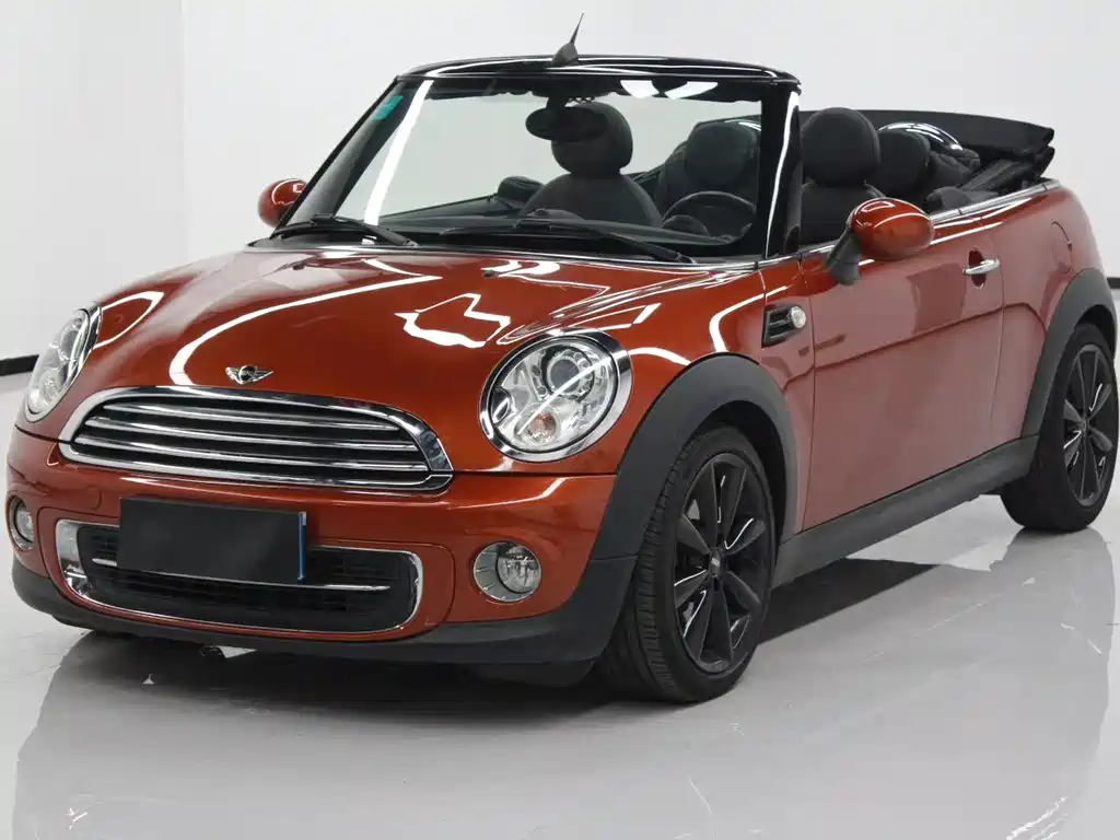 Mini Mini 2015