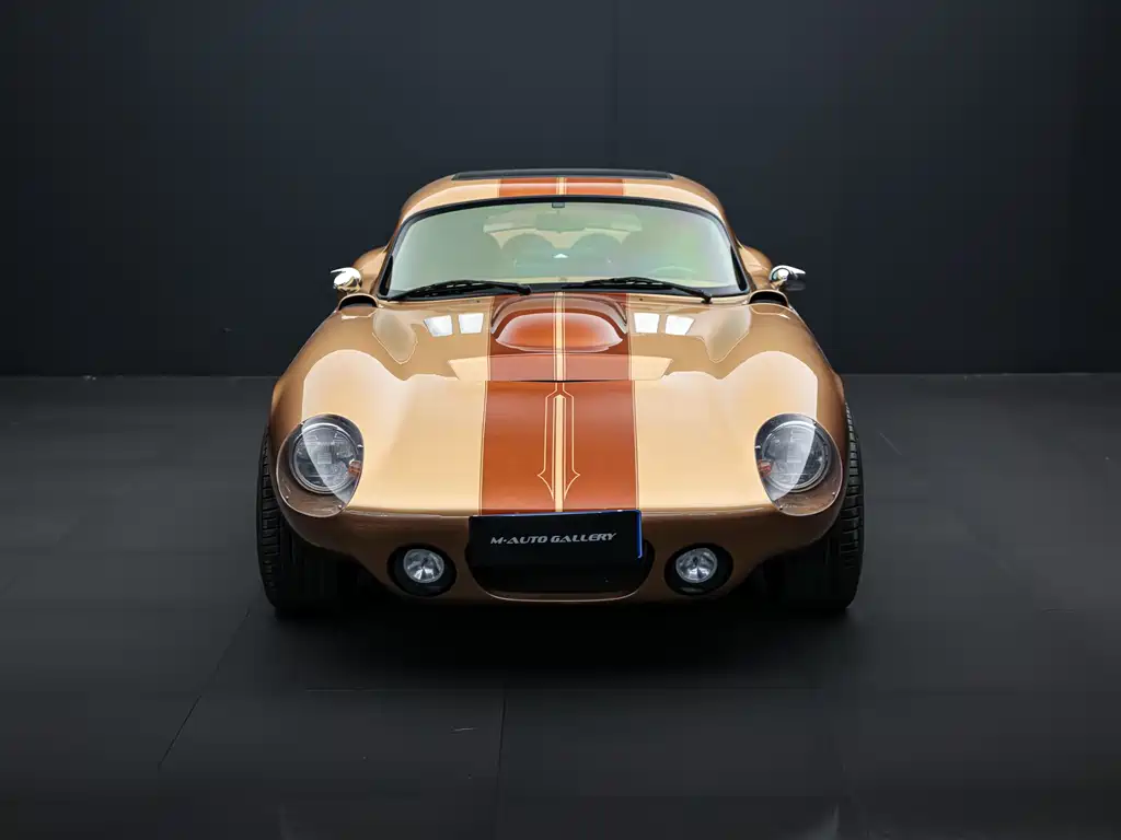SHELBY SHELBY Daytona 2020 6.2L AT