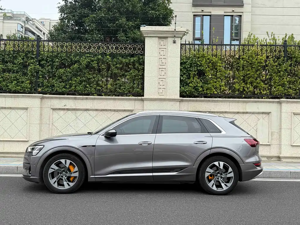 Audi e-tron (Import) — миниатюра 3