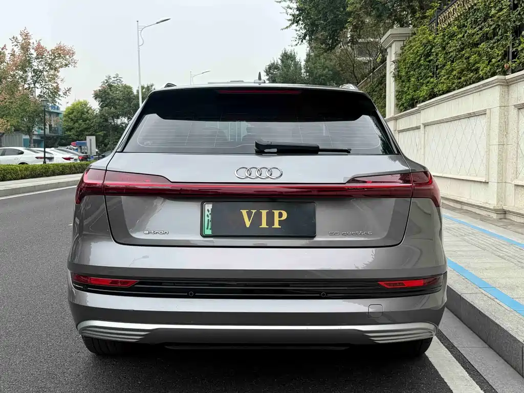 Audi e-tron (Import) — миниатюра 4