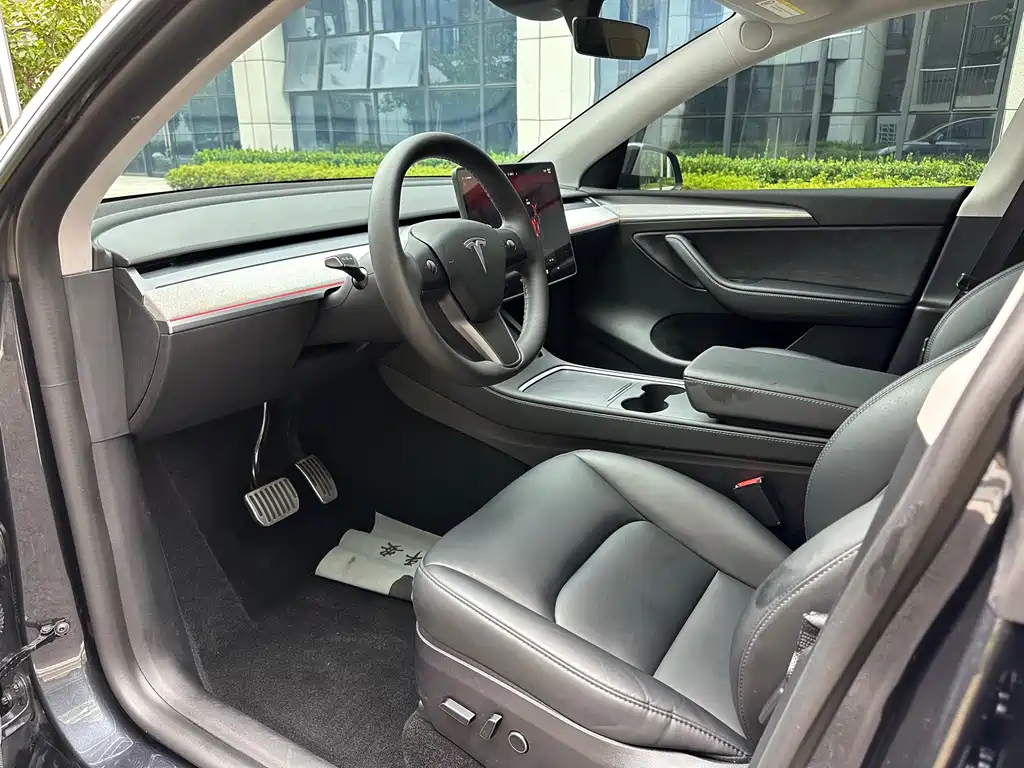 Tesla Model Y — миниатюра 4