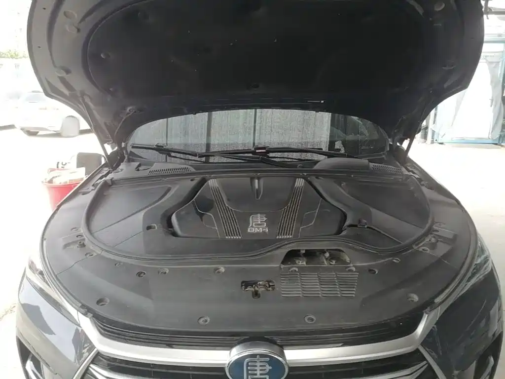 BYD Tang New Energy — миниатюра 20