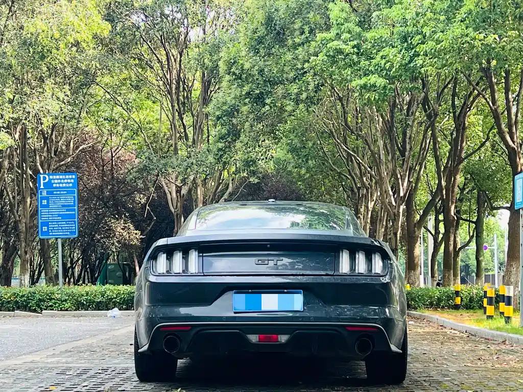 Ford Mustang — миниатюра 5